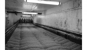 Tamdhu Malting